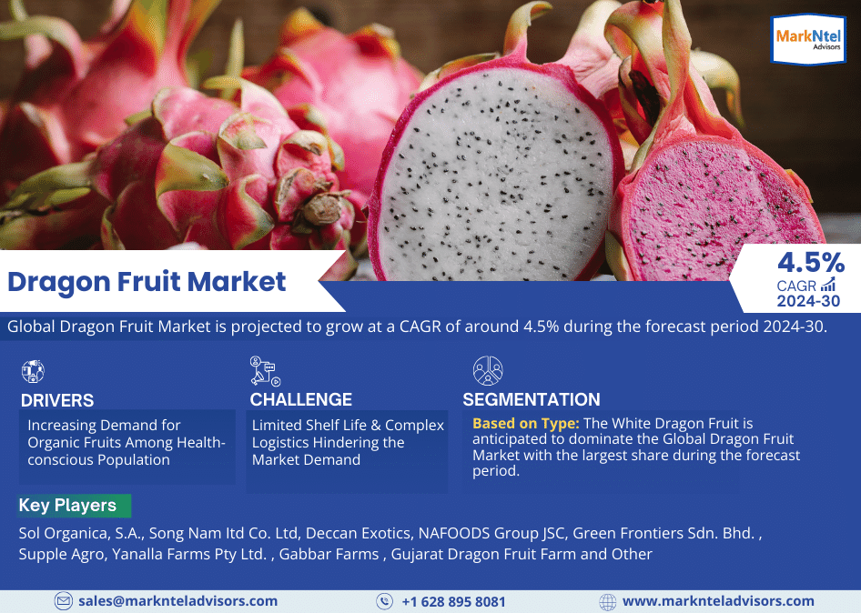 Dragon Fruit Market Outlook, Size, Share, Analysis, Trend, Growth, Report and Forecast 2024-30
