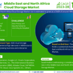 Middle East and North Africa Cloud Storage Market