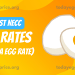egg rate today